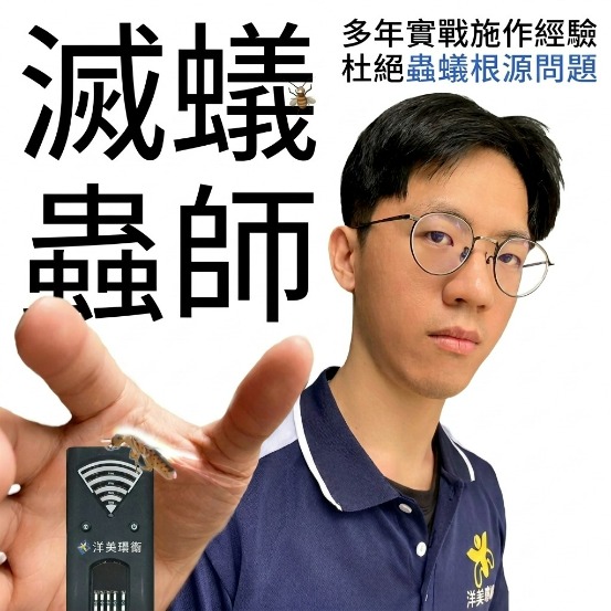 洋美白蟻防治：職人精神施工紀錄，守護裝潢完整度