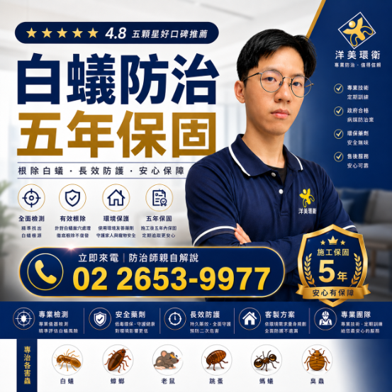 洋美白蟻防治:職人精神施工紀錄,守護裝潢完整度